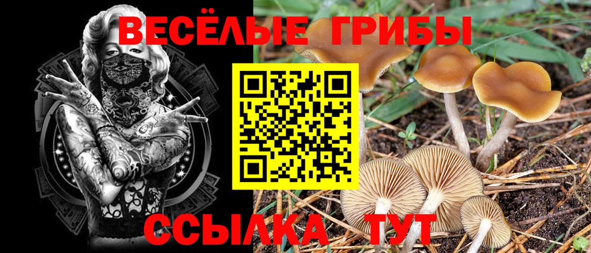 Псилоцибиновые грибы прущие грибы Мыски