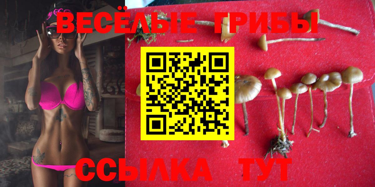Мыски  Псилоцибиновые грибы Magic Shrooms  Вход с VPN 